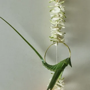 Tota & Tuberose Latkan - Image 2
