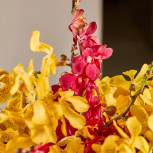 Orchid Delight Basket - Image 5