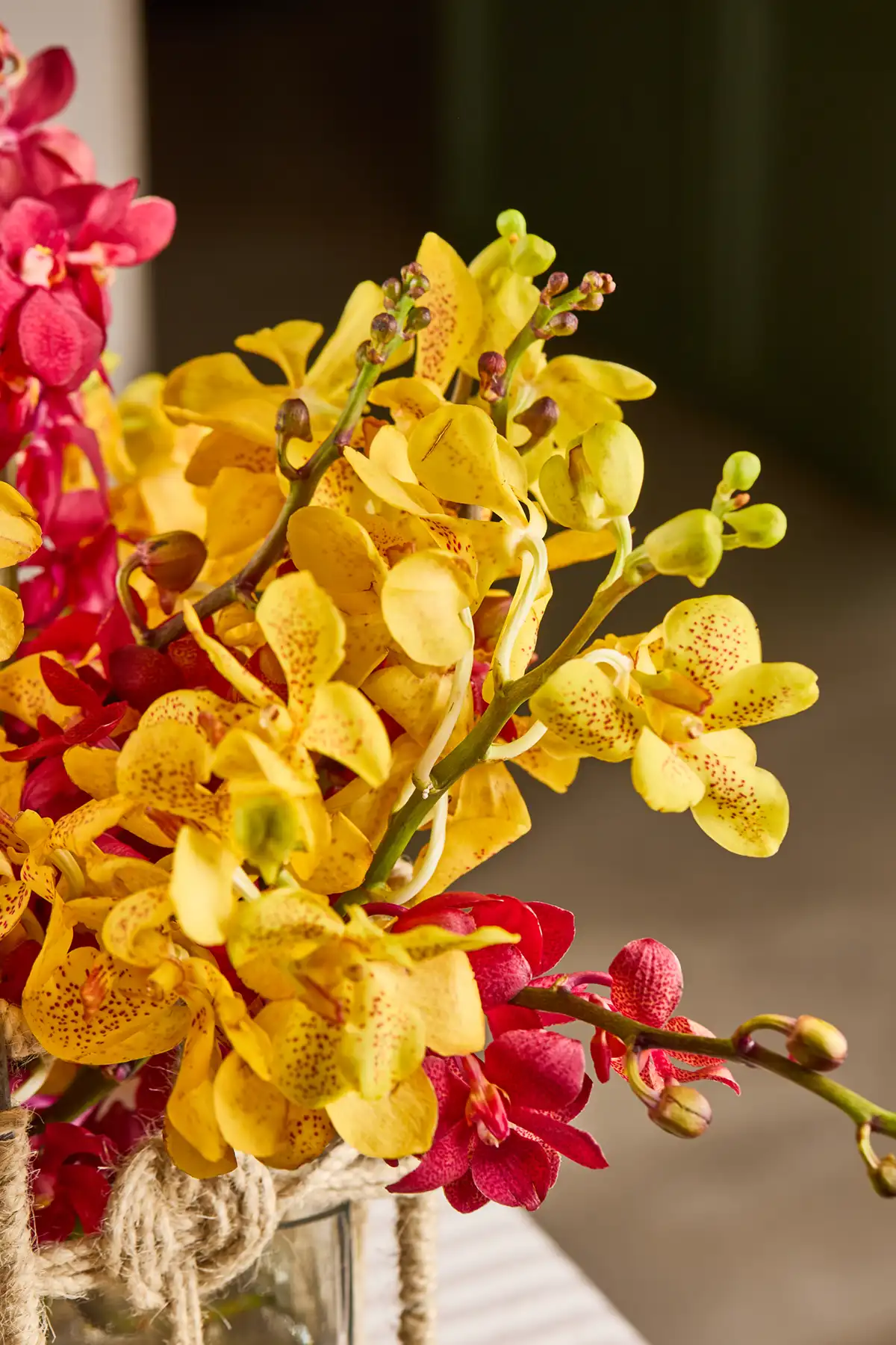 Orchid Delight Basket - Image 4