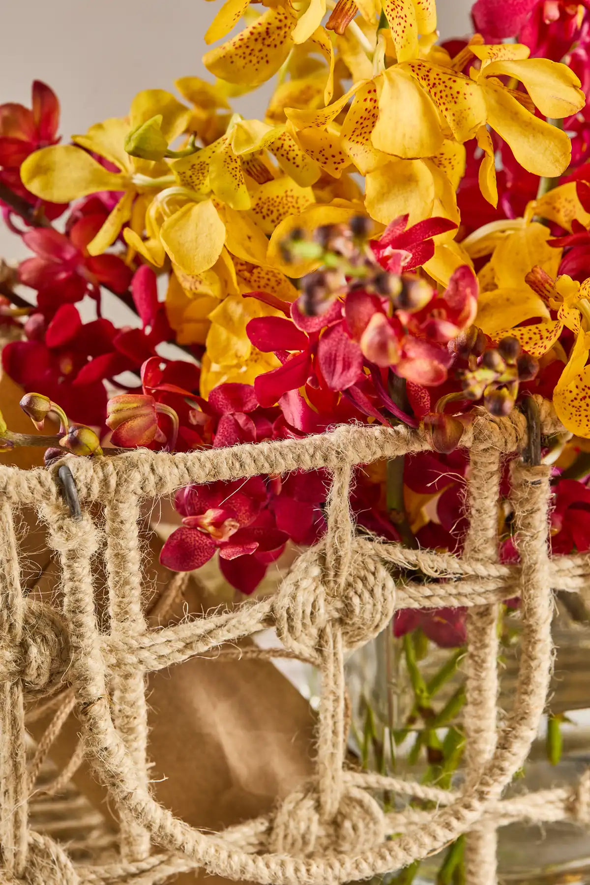 Orchid Delight Basket - Image 3