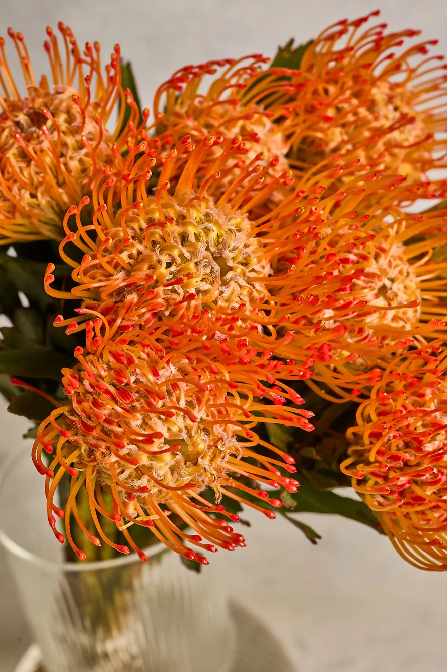 Pin Cushion - Image 4