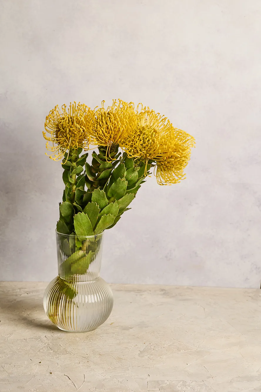 Pin Cushion - Image 2