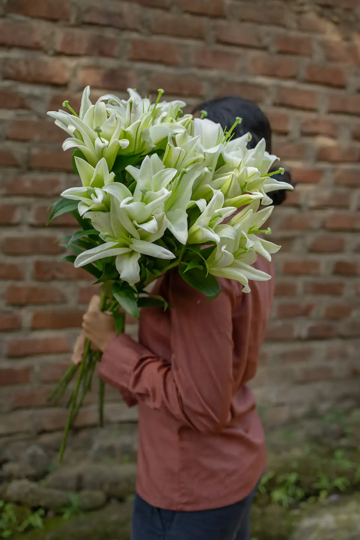 Oriental lilies - Image 3