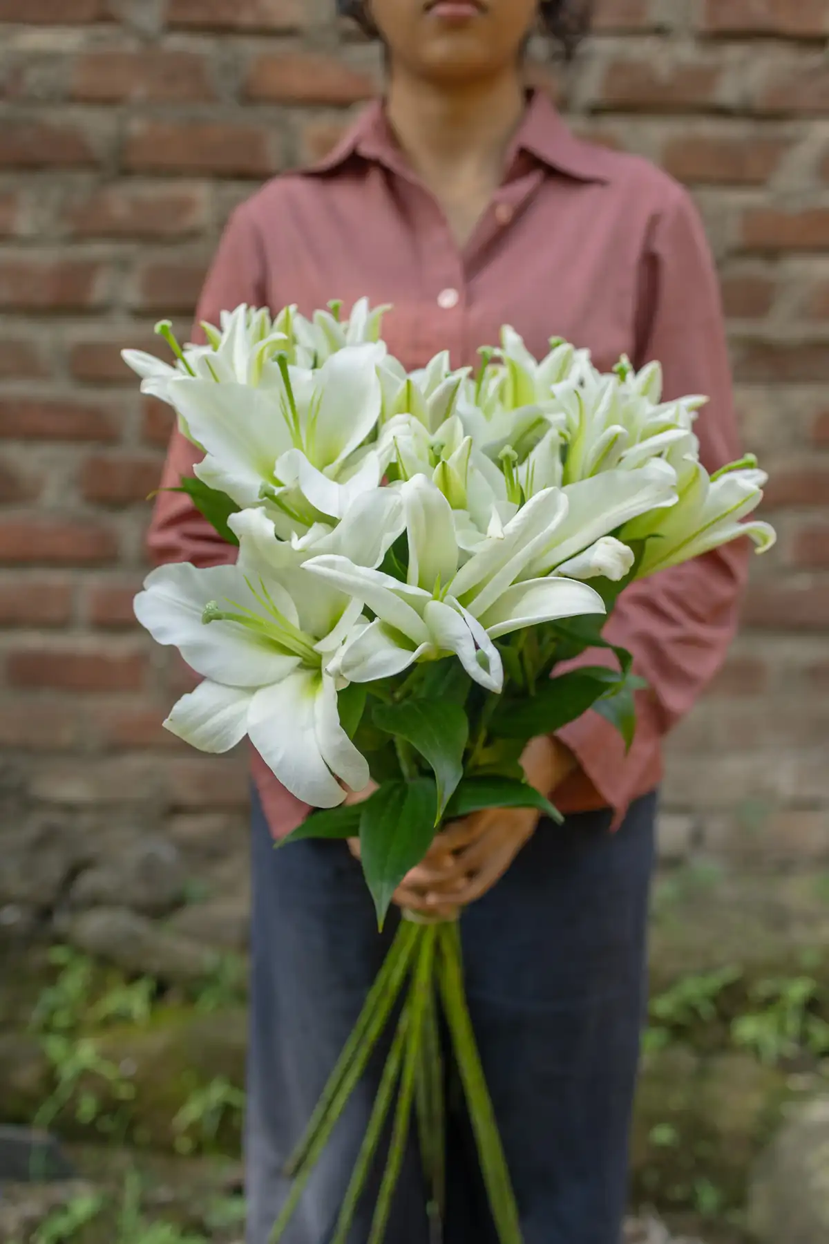 Oriental lilies - Image 4