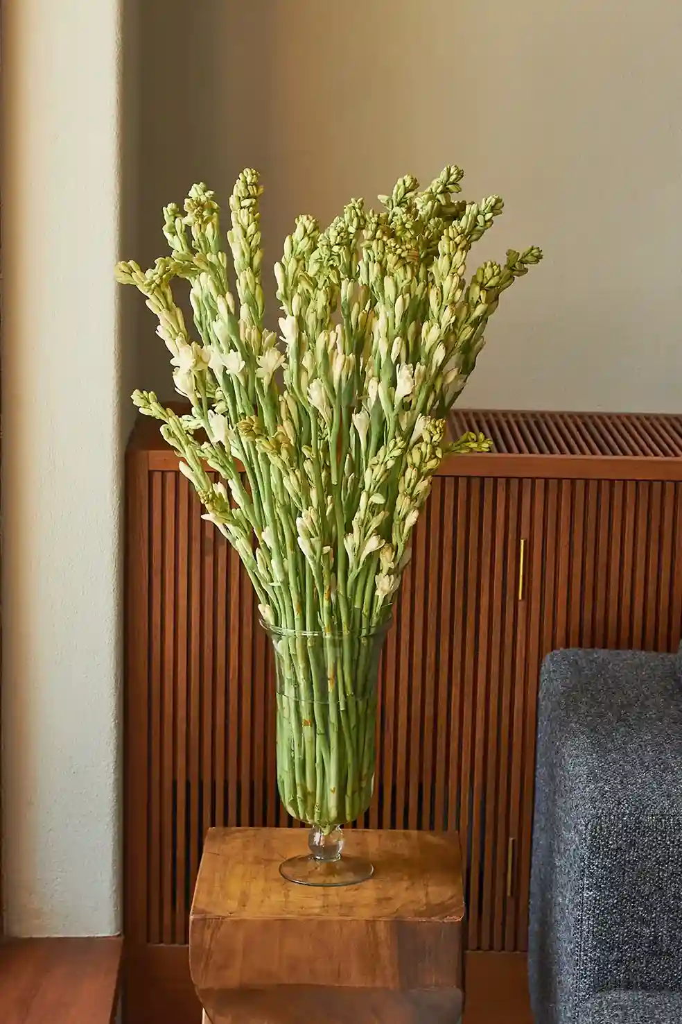 Rajnigandhas in a Vase