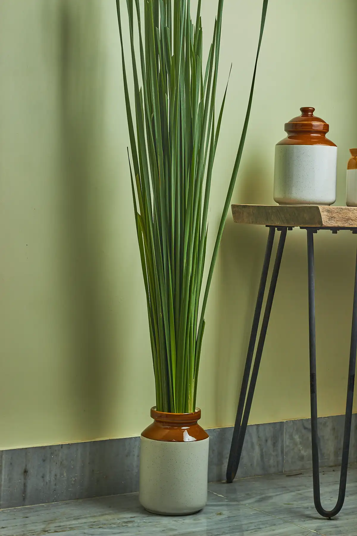 Rambaan 1 Fresh Rambaan stems styled foam-free in a glass mason jar burni - premium eco-friendly flower delivery Mumbai.