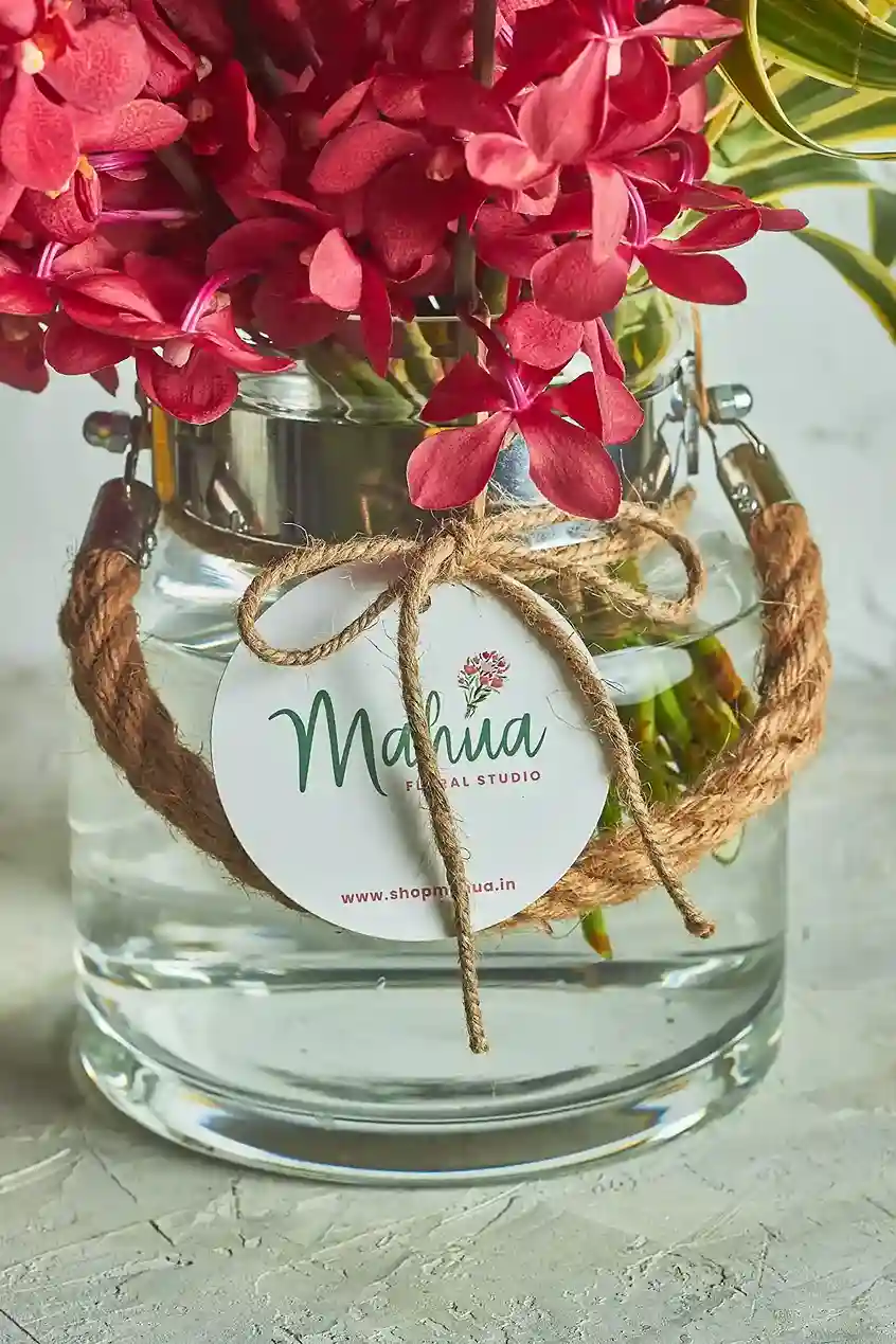 generous heart orchid arrangement 3 of by Mahua