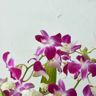 Orchids Galore - Image 2