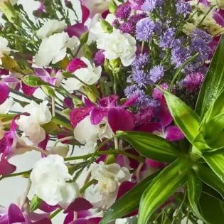 Orchids Galore - Image 3