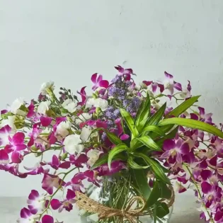 Orchids Galore
