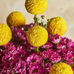 Pom-Pom Party - Image 2