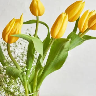 Tulip Delight - Image 3