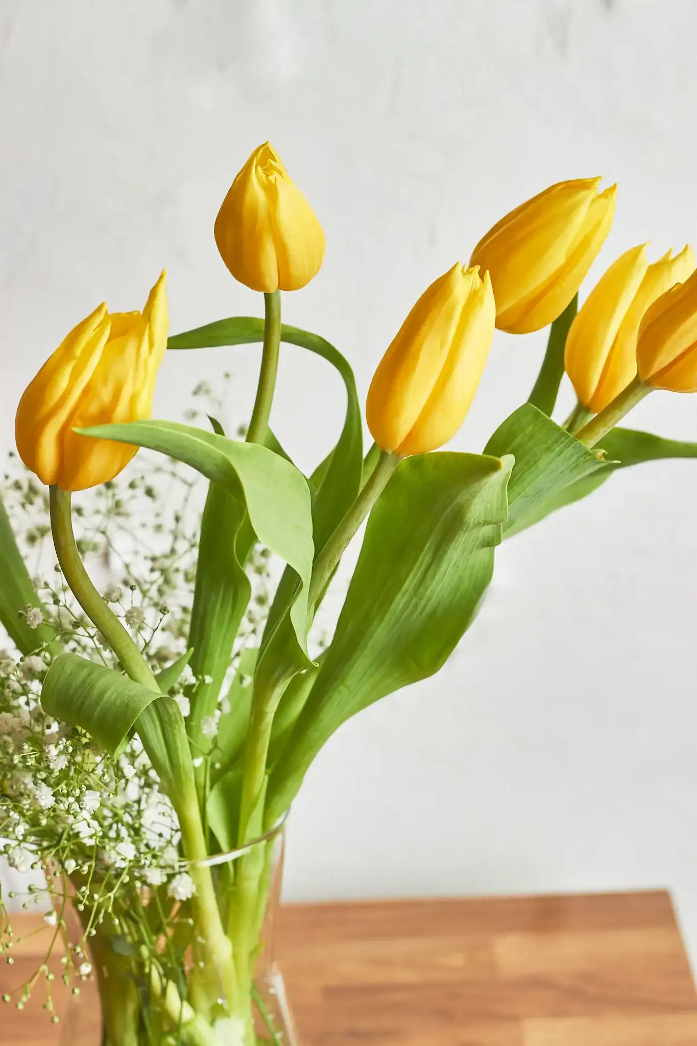Tulip Delight - Image 3