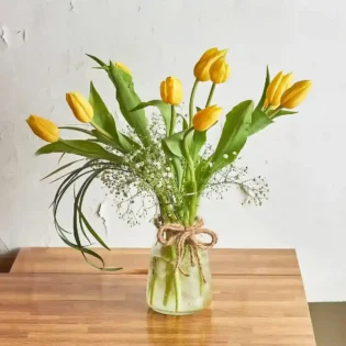 Tulip Delight