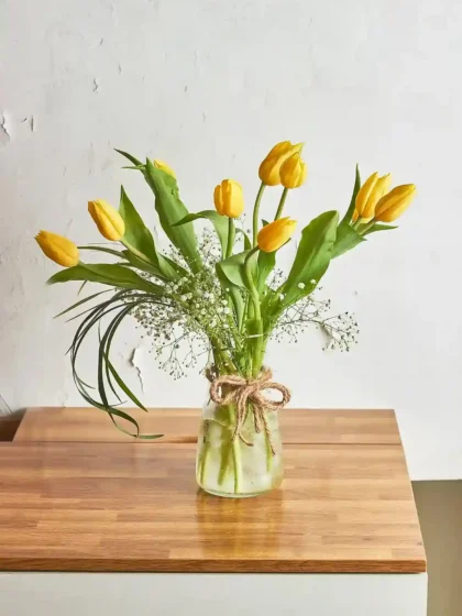 Tulip Delight