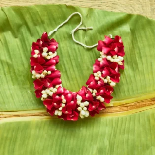 Gulabi Gajra