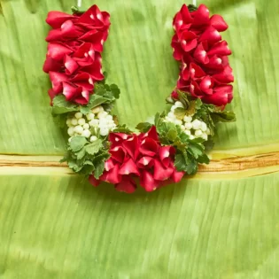 Gulabi Gajra - Image 5