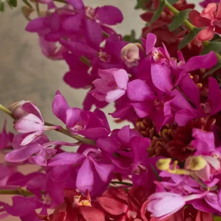 Bountiful - Image 3